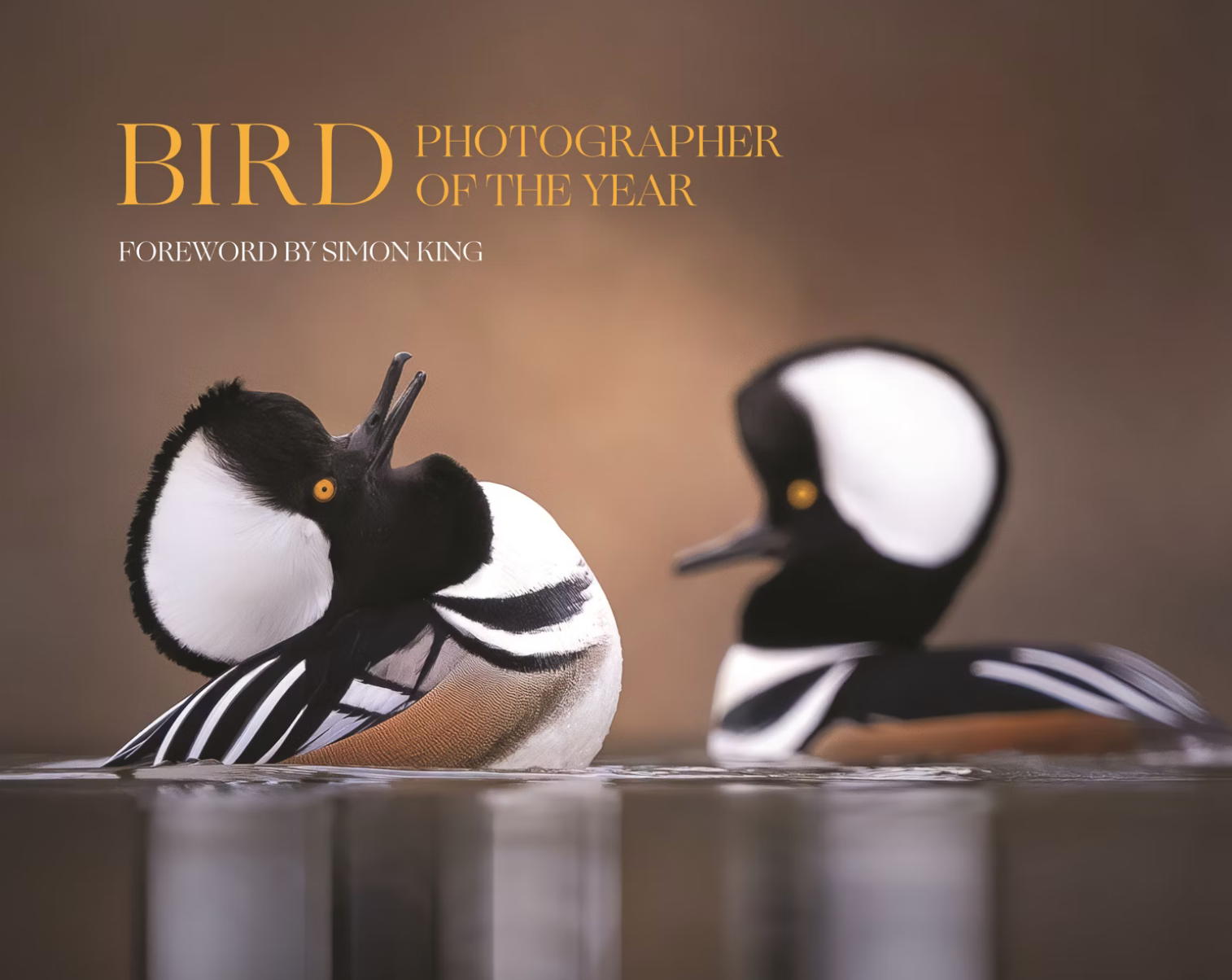 Bird Photographer of the Year